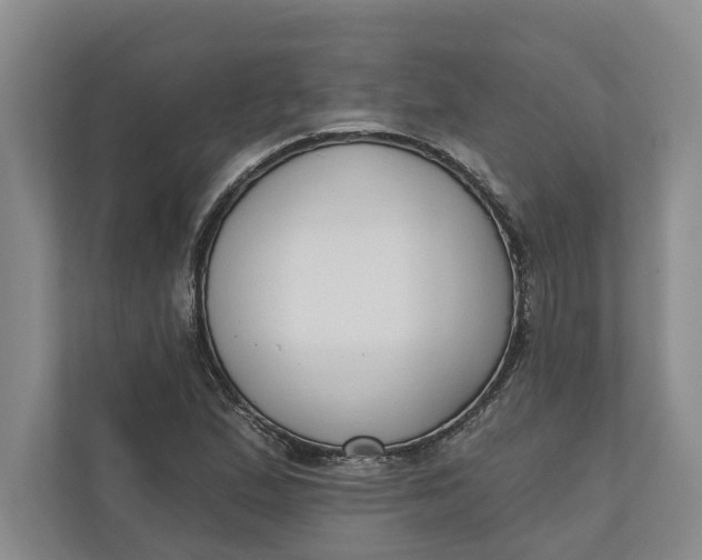 X0000110741167200906290942