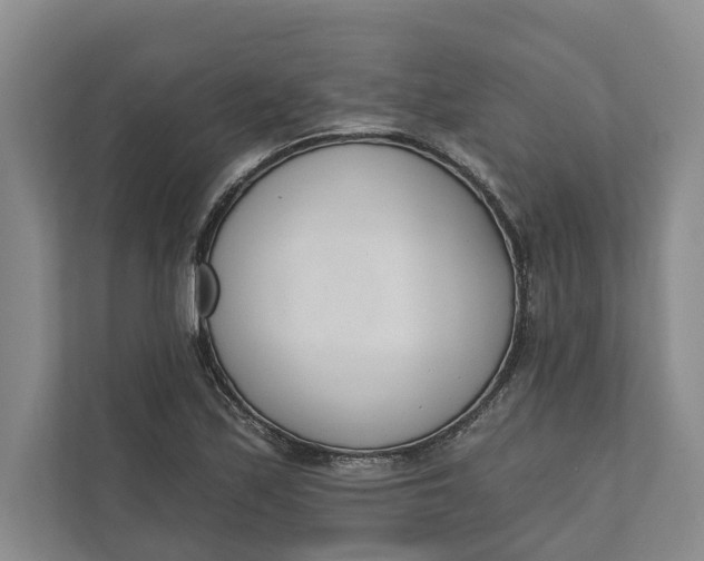 X0000110741171200906290942