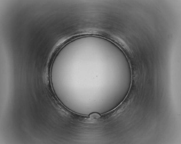 X0000110741172200906290942