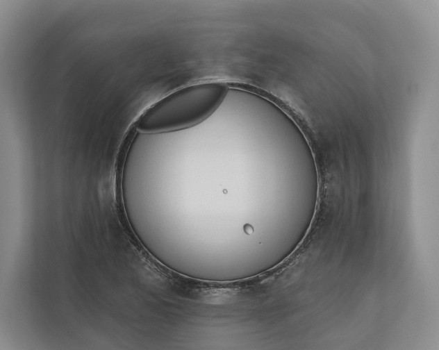 X0000110741173200906290942