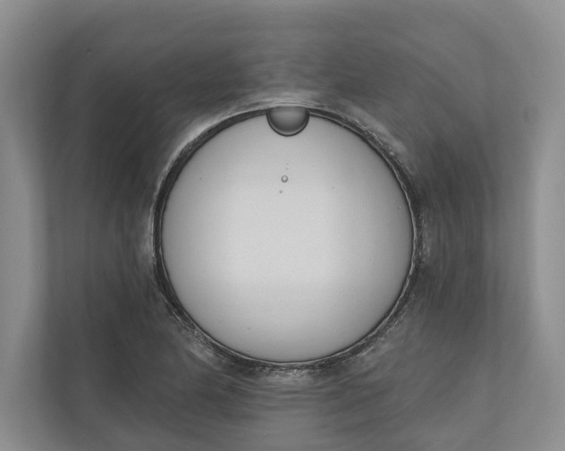 X0000110741174200906290942