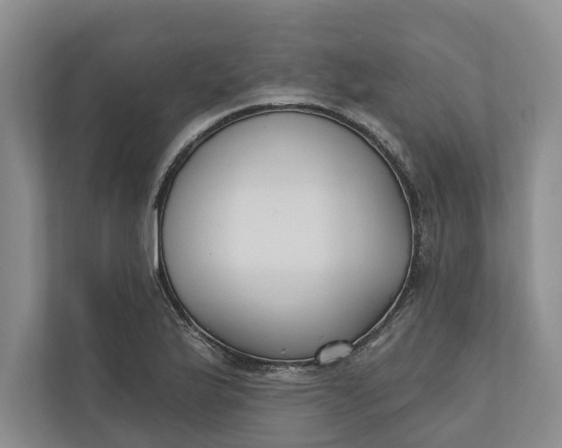 X0000110741175200906290942