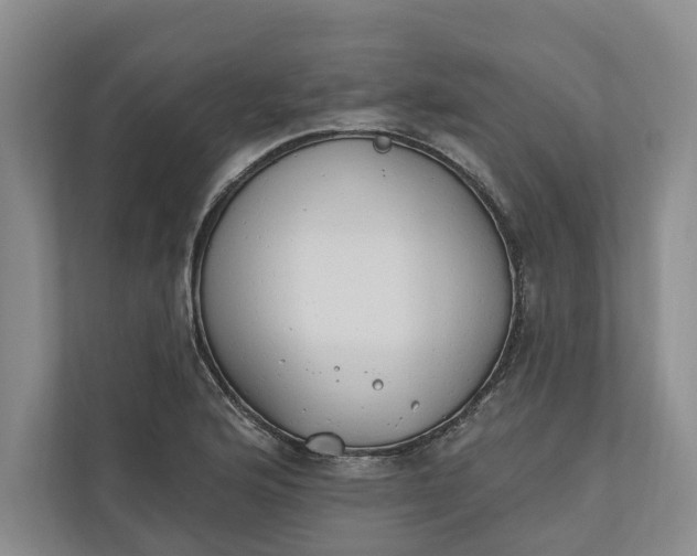 X0000110741176200906290942
