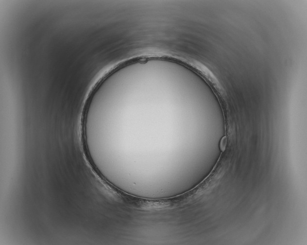 X0000110741183200906290942