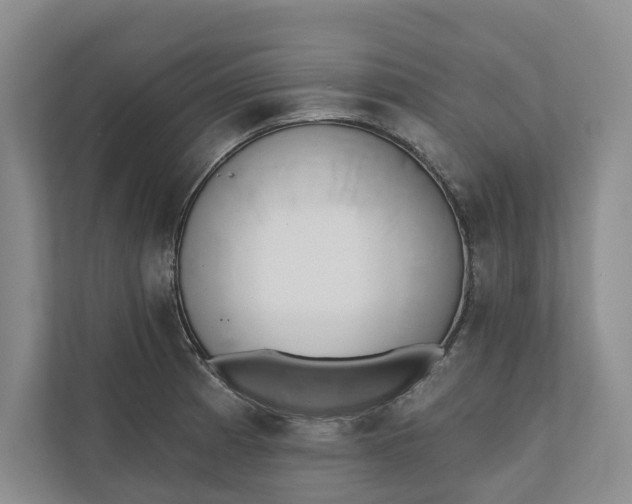 X0000110741185200906290942