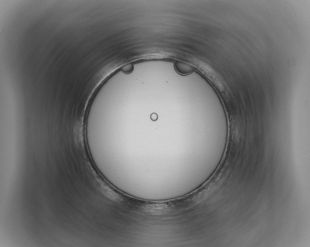 X0000110741186200906290942
