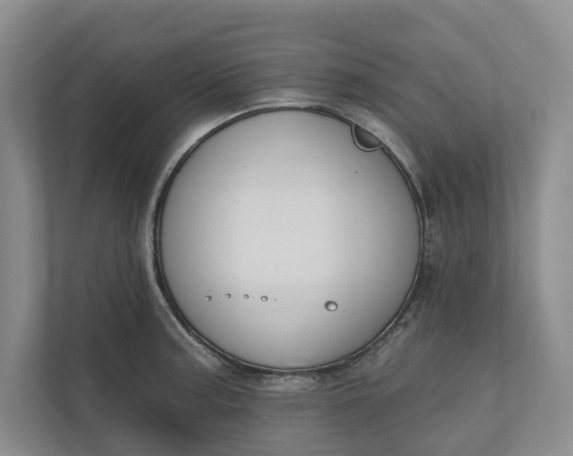 X0000110741187200906290942