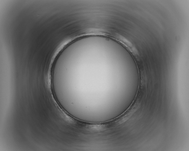 X0000110741188200906290942