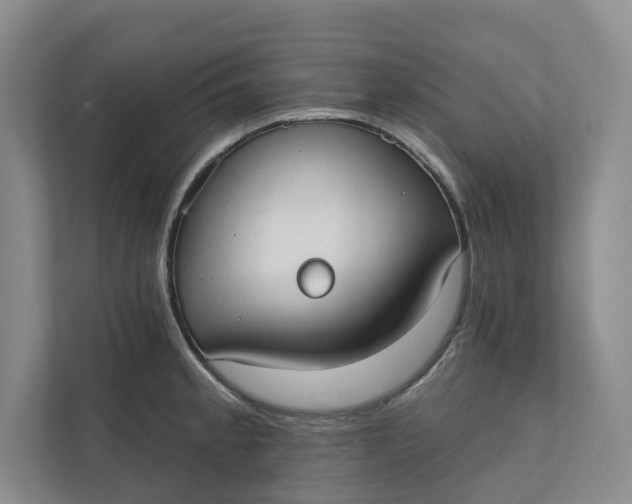 X0000110741189200906290942