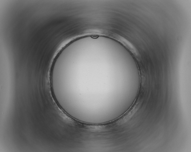 X0000110741192200906290942