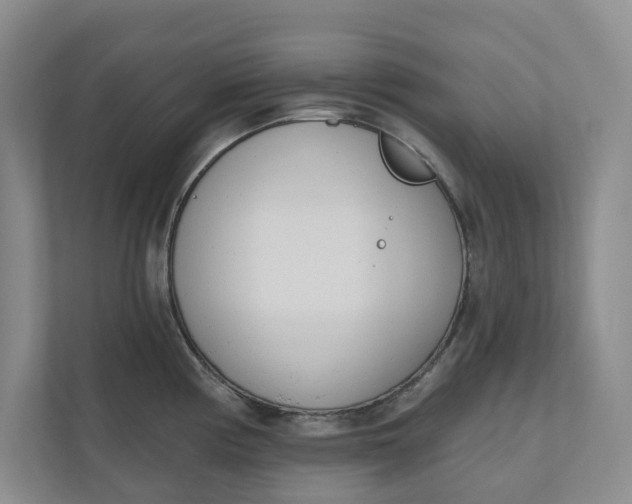 X0000110741194200906290942