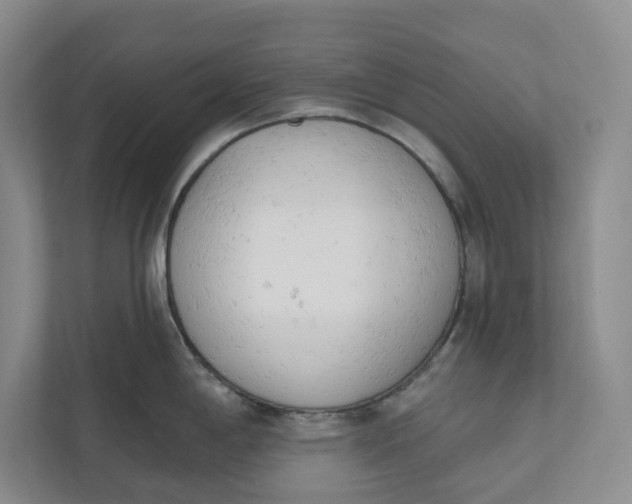 X0000110741198200906290942
