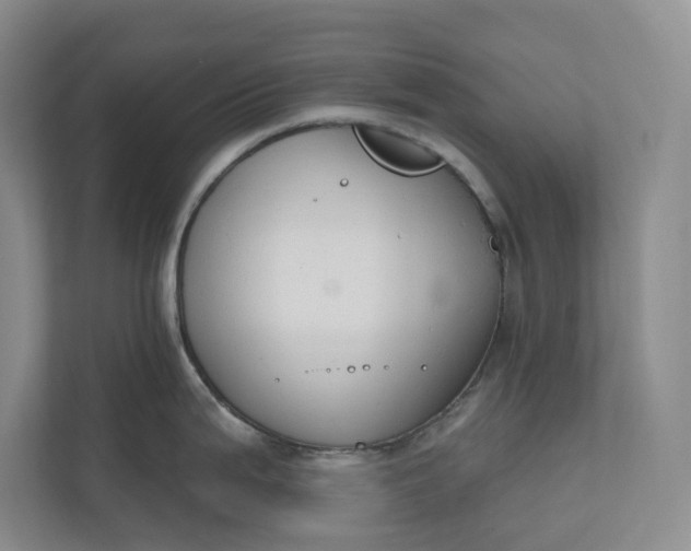 X0000110741199200906290942