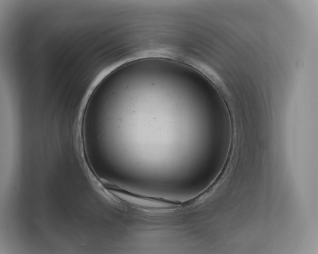 X0000110741200200906290942