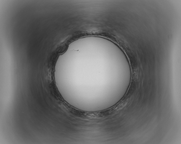 X0000110741205200906290941