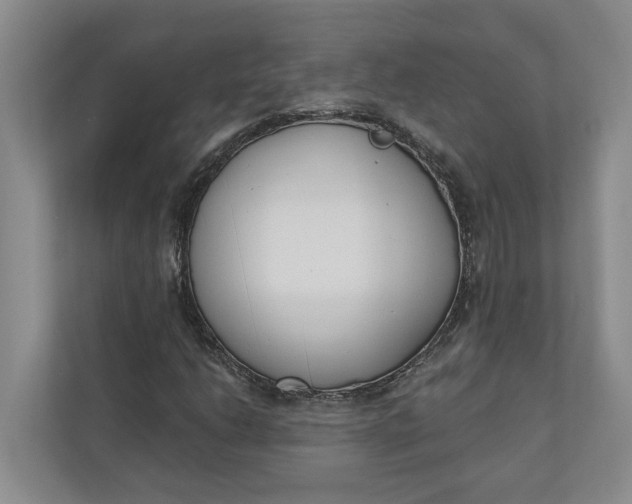 X0000110741206200906290941