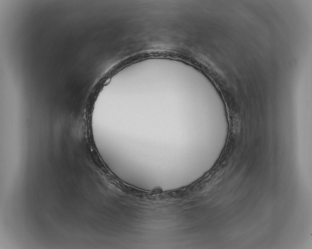 X0000110741208200906290941