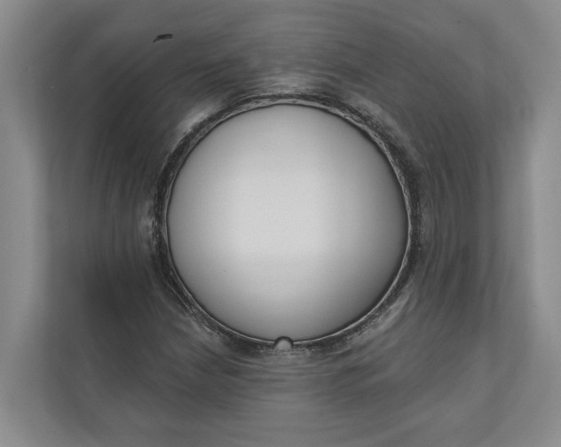 X0000110741210200906290941