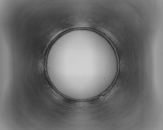 X0000110741212200906290941