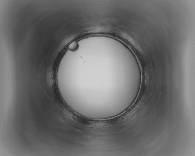 X0000110741213200906290941