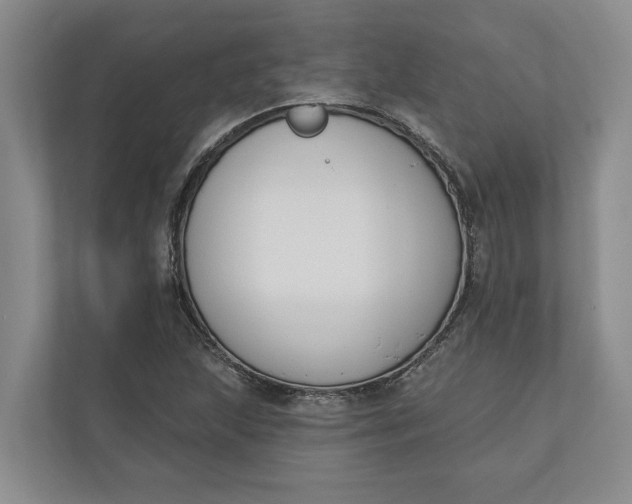 X0000110741215200906290941