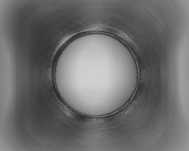 X0000110741216200906290941