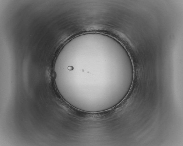 X0000110741217200906290941