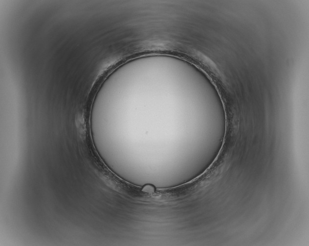 X0000110741218200906290941