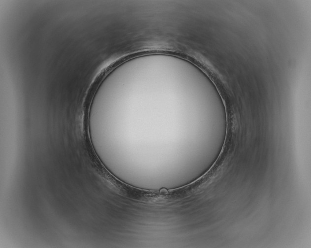 X0000110741222200906290941