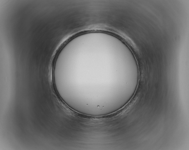 X0000110741224200906290941