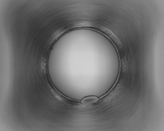 X0000110741225200906290941