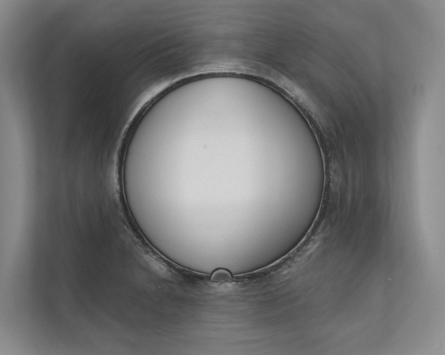 X0000110741230200906290941