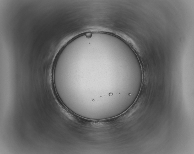 X0000110741231200906290941