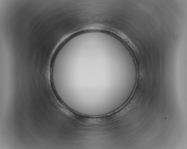 X0000110741232200906290941