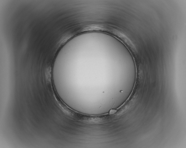 X0000110741233200906290941
