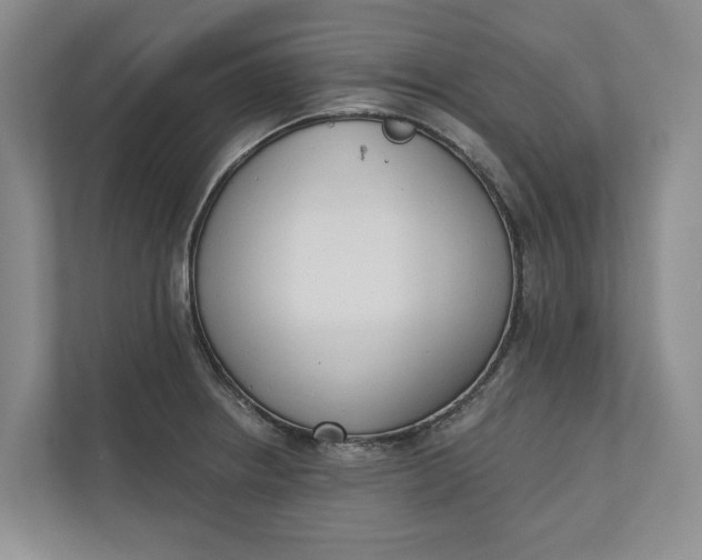 X0000110741234200906290941