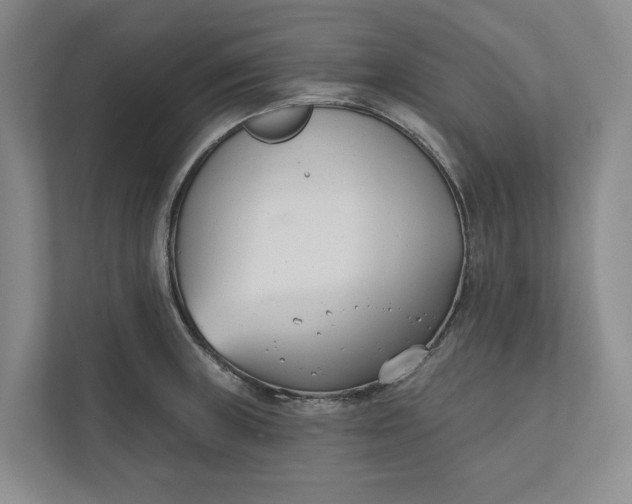 X0000110741235200906290941