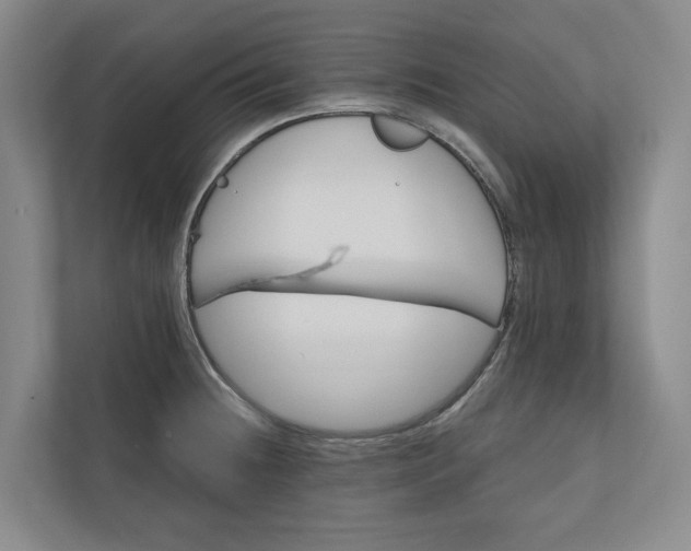 X0000110741236200906290941