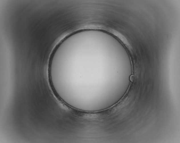 X0000110741237200906290941