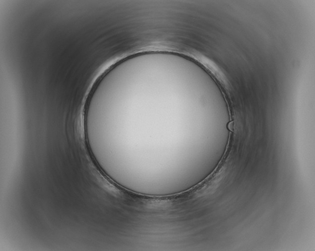 X0000110741238200906290941