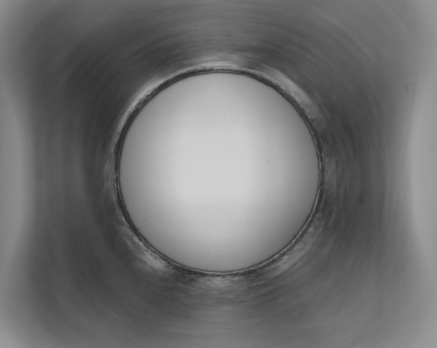 X0000110741240200906290941