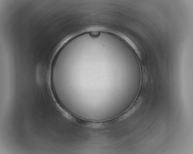 X0000110741245200906290942