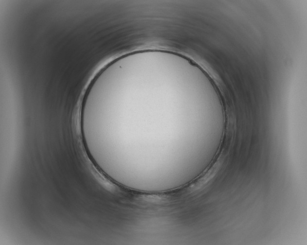 X0000110741246200906290942