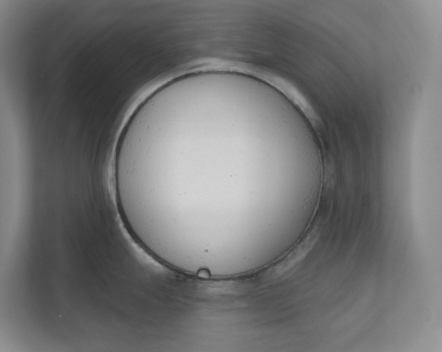 X0000110741247200906290942