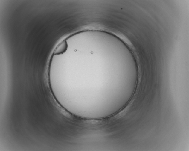 X0000110741248200906290942