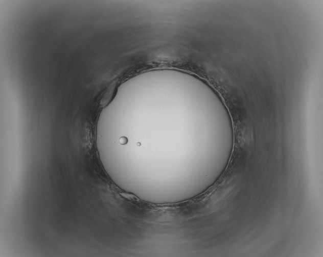 X0000110741253200906290941