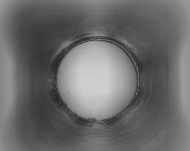 X0000110741255200906290941