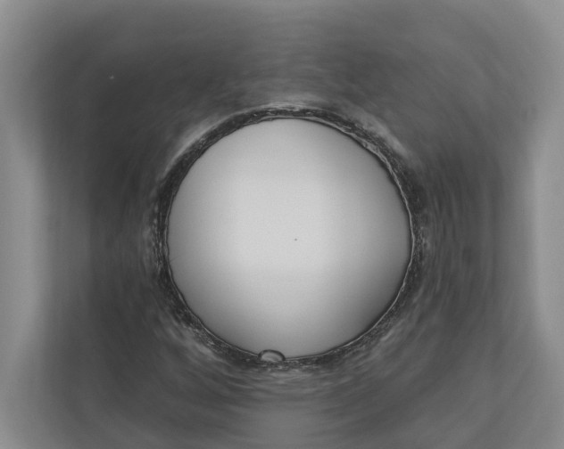 X0000110741256200906290941