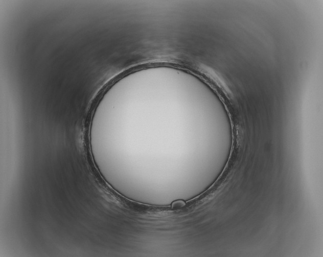 X0000110741260200906290941