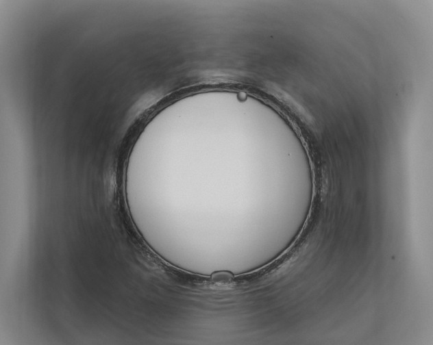X0000110741261200906290941